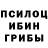 Псилоцибиновые грибы GOLDEN TEACHER ApTeM MNKC