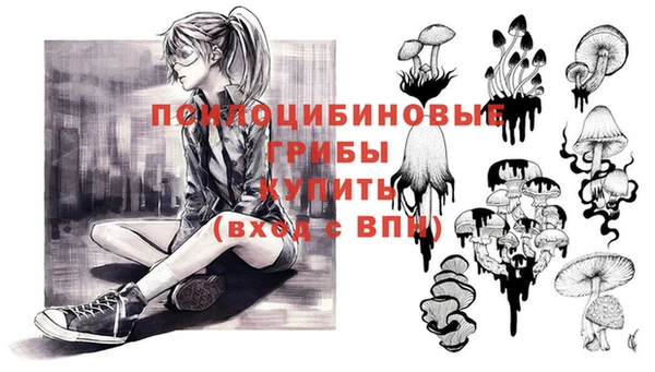 прущая мука Михайловск