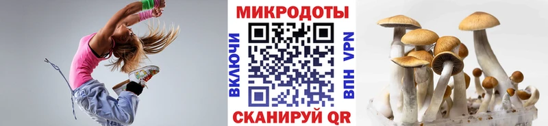 Псилоцибиновые грибы Psilocybe гидра как зайти Данилов наркотики